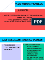 Las Medidas Precautorias