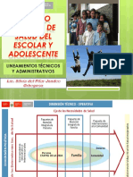 Lineamientos Tecnicos Administrativos Salud Escolar Adolescente Geresa