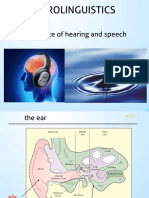 Third Class: Neuroscience of Hearing and Speech: Neurolinguistics