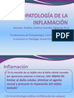 Fisiopatología de La Inflamación 2016