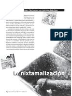 Nixtamalizacion PDF