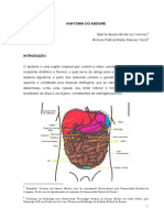 Anatomia Do Abdome