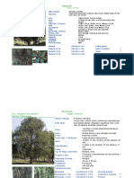 Fichas Tecnicas de Vegetacion ZMG - Semades