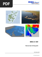 MIKE21BW Step by Step Guide