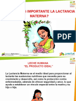 Lactancia Materna PDF