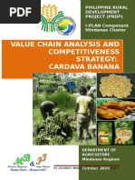 Cardava Value Chain Analysis