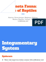 Planeta Fauna: Life of Reptiles: Abainza, Dimaculangan, Maglaque, Matibag, Medina, Rigodon, Tamayo, Tan Compana A51