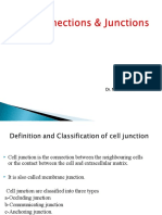 Cell Junctions