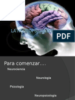 Neuropsicologia 1