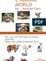 CL 4 PPT Animal World For Flipped Learning