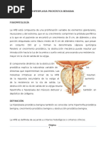 Hiperplasia Prostatica Benigna2