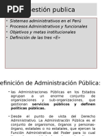 Gestión Publica PERU