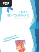 Cancer Genitourinario