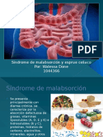 Sindrome de Malabsorcion