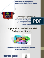 Inducción A Las Áreas de Intervención Social. Trabajo Social