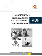 Casos General Violencia de Género PDF