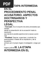 JUICIO ORAL Etapa Intermedia.