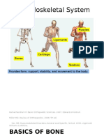 Basic Science of Musculoskeletal