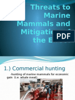 Threats To Marine Mammals