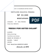 Proyecto de Ciencias Riego Por Goteo Solar