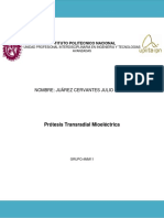 Protesis Transradial