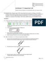 Amino Acid Worksheet