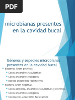 Géneros y Especies Microbianas Presentes en La Cavidad