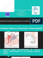 Control de La Función Motora Por La Corteza y El Tronco Del Encéfalo