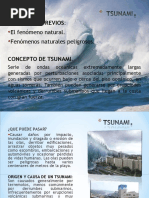 Tsunami Diapositivas