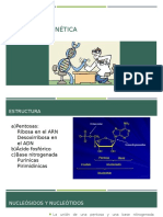 Ácidos Nucleicos