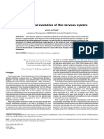 The Origin and Evolution of The Nervous System