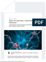 Tipos de Neuronas - Características y Funciones