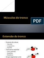 Músculos Do Tronco