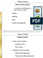 Types of Tissue Culture PDF