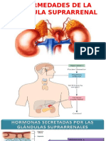 Enfermedades de Glandula Suprarenal