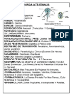 Portafolio Parasitos 