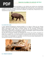 Animales en Peligro de Extincion Peru