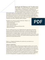 Anatomía y Fisiología Del Sistema de Conducción