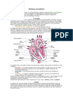 Sistema Circulatório
