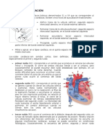 Focos de Auscultación