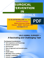 Ppt. Surgery Wild Animals