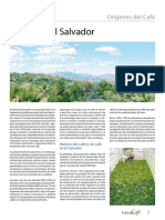 Cafe de El Salvador PDF