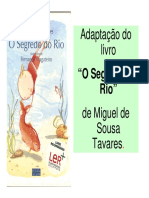 O Segredo Do Rio