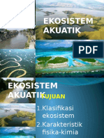 Ekosistem Akuatik Sungai