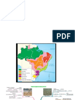 Domínios Morfoclimáticos - Brasil