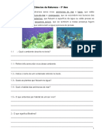 Teste Diagnóstico - 5º Ano