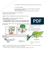 Diversidad de Plantas