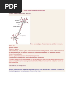 Control and Coordination 2