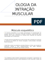 Fisiologia Da Contração Muscular