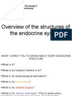 Overview of The Structures of The Endocrine System